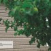 Сайдинг Ю-Пласт TIMBERBLOCK Пихта (Тимберблок) Cахалинская купить в Астрахани
