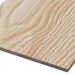 Фиброцементные панели FCSPRO Decor Wood Лиственница купить в Астрахани