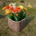 Цветник КАНЬОН купить в Астрахани