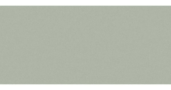 Сайдинг CEDRAL smooth (гладкий) С06 купить в Астрахани